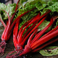Мангольд обыкновенный Алый Мангольд обыкновенный Алый