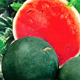 Арбуз  Ультраранний Арбуз  Ультраранний