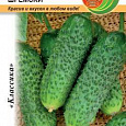Огурец  Шремски F1 Огурец  Шремски F1
