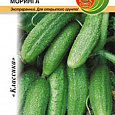 Огурец  Моринга F1 Огурец  Моринга F1