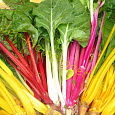 Мангольд  Радуга (смесь) Мангольд  Радуга (смесь)