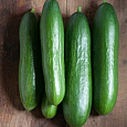 Огурец  Дива F1 Огурец  Дива F1