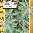 Шалфей лекарственный