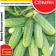 Огурец  Надежный Огурец  Надежный